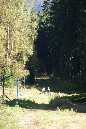 DSC08332