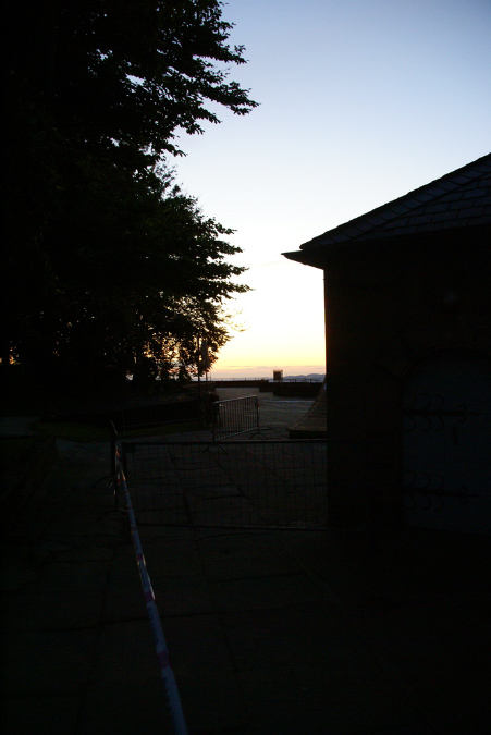 DSC02314