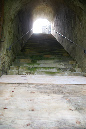 DSC01953