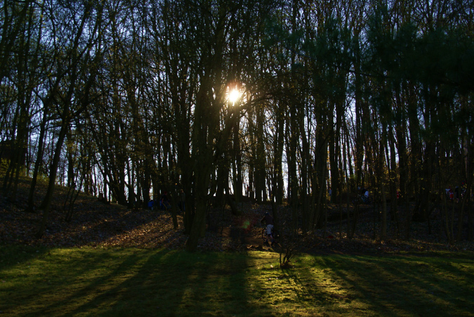DSC08306