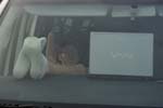 Mayhem_part1 (7)