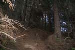 Mayhem_part2 (111)