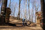 Radebeul_T (85)