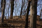 Radebeul_T (88)