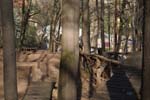 Radebeul_T (89)