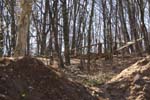 Radebeul_T (9)